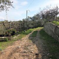 Other in Greece, Ionian Islands, Corfu, 130 sq.m.
