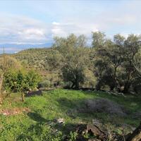 Other in Greece, Ionian Islands, Corfu, 130 sq.m.