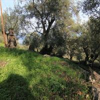 Other in Greece, Ionian Islands, Corfu, 130 sq.m.