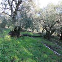 Other in Greece, Ionian Islands, Corfu, 130 sq.m.