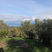 Other in Greece, Ionian Islands, Corfu, 130 sq.m.
