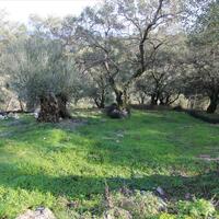 Other in Greece, Ionian Islands, Corfu, 130 sq.m.