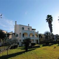 Other in Greece, Ionian Islands, Corfu, 340 sq.m.
