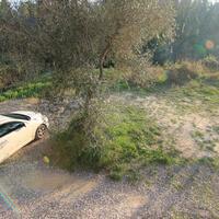 Other in Greece, Ionian Islands, Corfu, 209 sq.m.