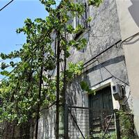 Other in Greece, Ionian Islands, Corfu, 120 sq.m.