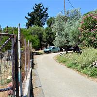 Other in Greece, Ionian Islands, Corfu, 200 sq.m.