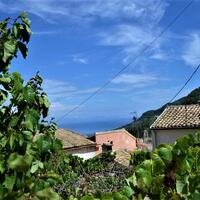 Other in Greece, Ionian Islands, Corfu, 75 sq.m.
