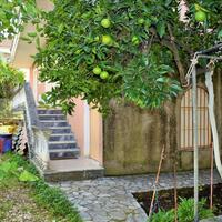 Other in Greece, Ionian Islands, Corfu, 197 sq.m.