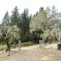 Другое в Греции, Ионические острова, Корфу, 240 кв.м.