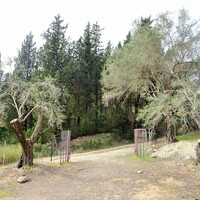 Другое в Греции, Ионические острова, Корфу, 240 кв.м.
