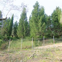Другое в Греции, Ионические острова, Корфу, 240 кв.м.