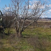 Другое в Греции, Ионические острова, Корфу, 58 кв.м.