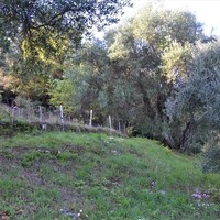 Other in Greece, Ionian Islands, Corfu, 164 sq.m.