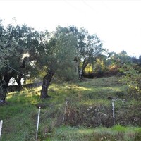 Other in Greece, Ionian Islands, Corfu, 164 sq.m.