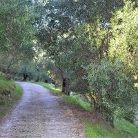 Other in Greece, Ionian Islands, Corfu, 164 sq.m.