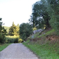Other in Greece, Ionian Islands, Corfu, 164 sq.m.