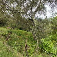 Other in Greece, Ionian Islands, Corfu, 40 sq.m.