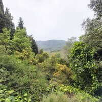 Other in Greece, Ionian Islands, Corfu, 40 sq.m.