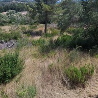 Other in Greece, Ionian Islands, Corfu, 355 sq.m.