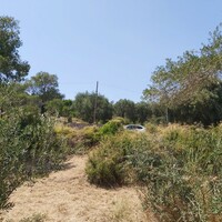Other in Greece, Ionian Islands, Corfu, 355 sq.m.
