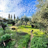 Other in Greece, Ionian Islands, Corfu, 190 sq.m.