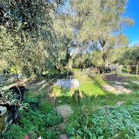 Other in Greece, Ionian Islands, Corfu, 190 sq.m.