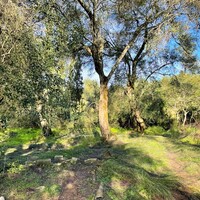 Other in Greece, Ionian Islands, Corfu, 190 sq.m.