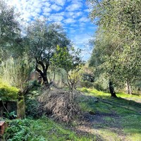 Other in Greece, Ionian Islands, Corfu, 190 sq.m.