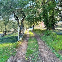 Other in Greece, Ionian Islands, Corfu, 190 sq.m.
