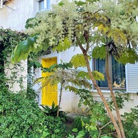 Other in Greece, Ionian Islands, Corfu, 450 sq.m.