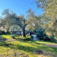 Other in Greece, Ionian Islands, Corfu, 450 sq.m.