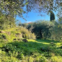Other in Greece, Ionian Islands, Corfu, 450 sq.m.