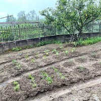 Другое в Греции, Ионические острова, Корфу, 270 кв.м.
