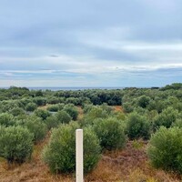 Другое в Греции, Ионические острова, Корфу, 82 кв.м.