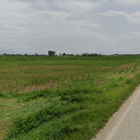 Остров в Греции, Nigrita, 11920 кв.м.