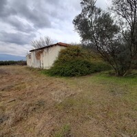 Другая коммерческая недвижимость в Греции, Салоники, 650 кв.м.