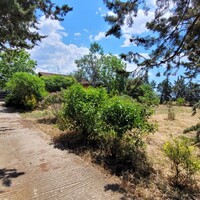Другое в Греции, Салоники, 360 кв.м.