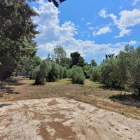 Другое в Греции, Салоники, 360 кв.м.