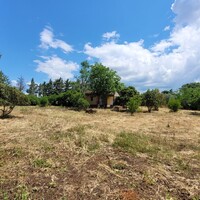 Другое в Греции, Салоники, 360 кв.м.