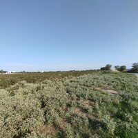 Остров в Греции, Салоники, 101000 кв.м.