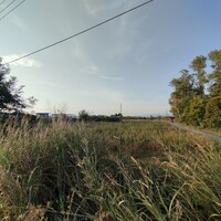 Остров в Греции, Салоники, 5595 кв.м.