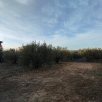 Island in Greece, Thessaloniki, 1483 sq.m.
