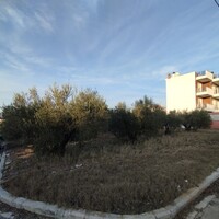 Island in Greece, Thessaloniki, 1483 sq.m.