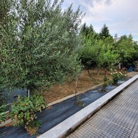 Other in Greece, Thessaloniki, 112 sq.m.