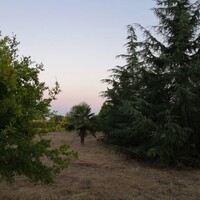 Island in Greece, Thessaloniki, 4350 sq.m.