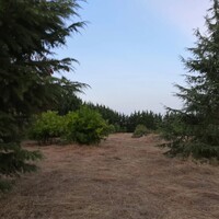 Island in Greece, Thessaloniki, 4350 sq.m.
