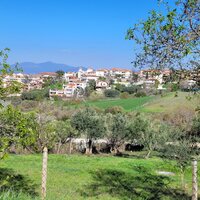 Island in Greece, Thessaloniki, 4625 sq.m.