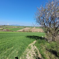 Остров в Греции, Салоники, 7311 кв.м.