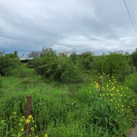 Остров в Греции, Салоники, 4000 кв.м.