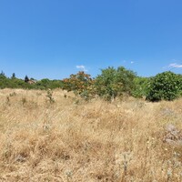 Остров в Греции, Салоники, 7000 кв.м.